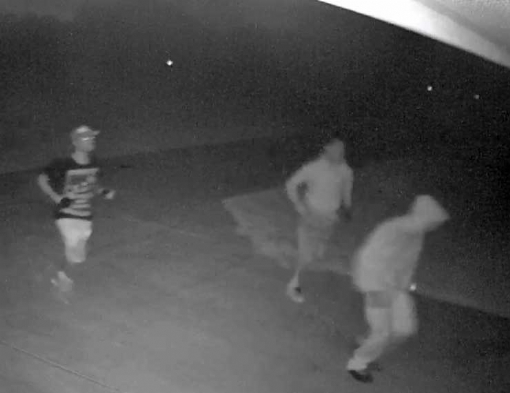 Vehicle Burglars