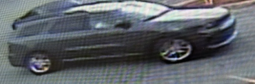 Site Image