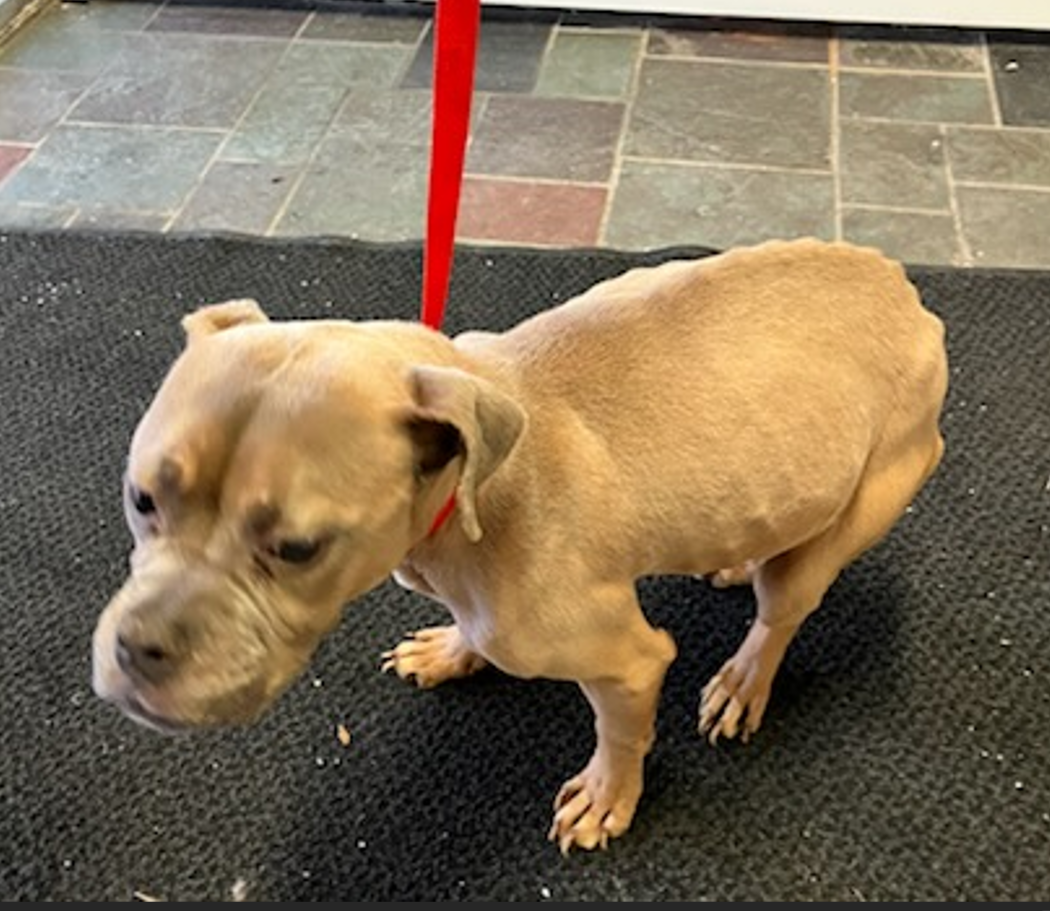 Click to Enlarge Site Image