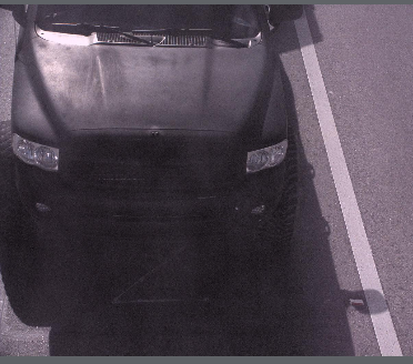 Site Image