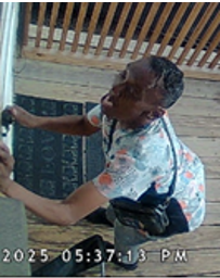 Site Image