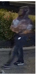 Site Image