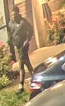 Site Image