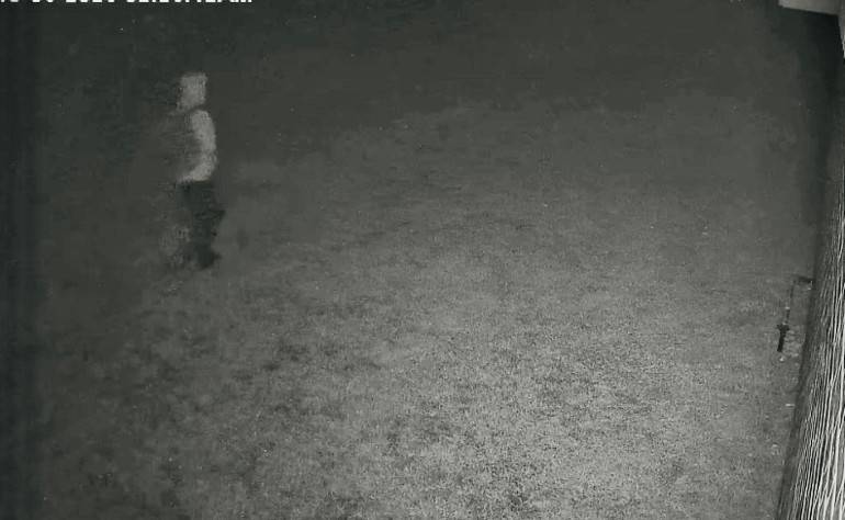 Site Image