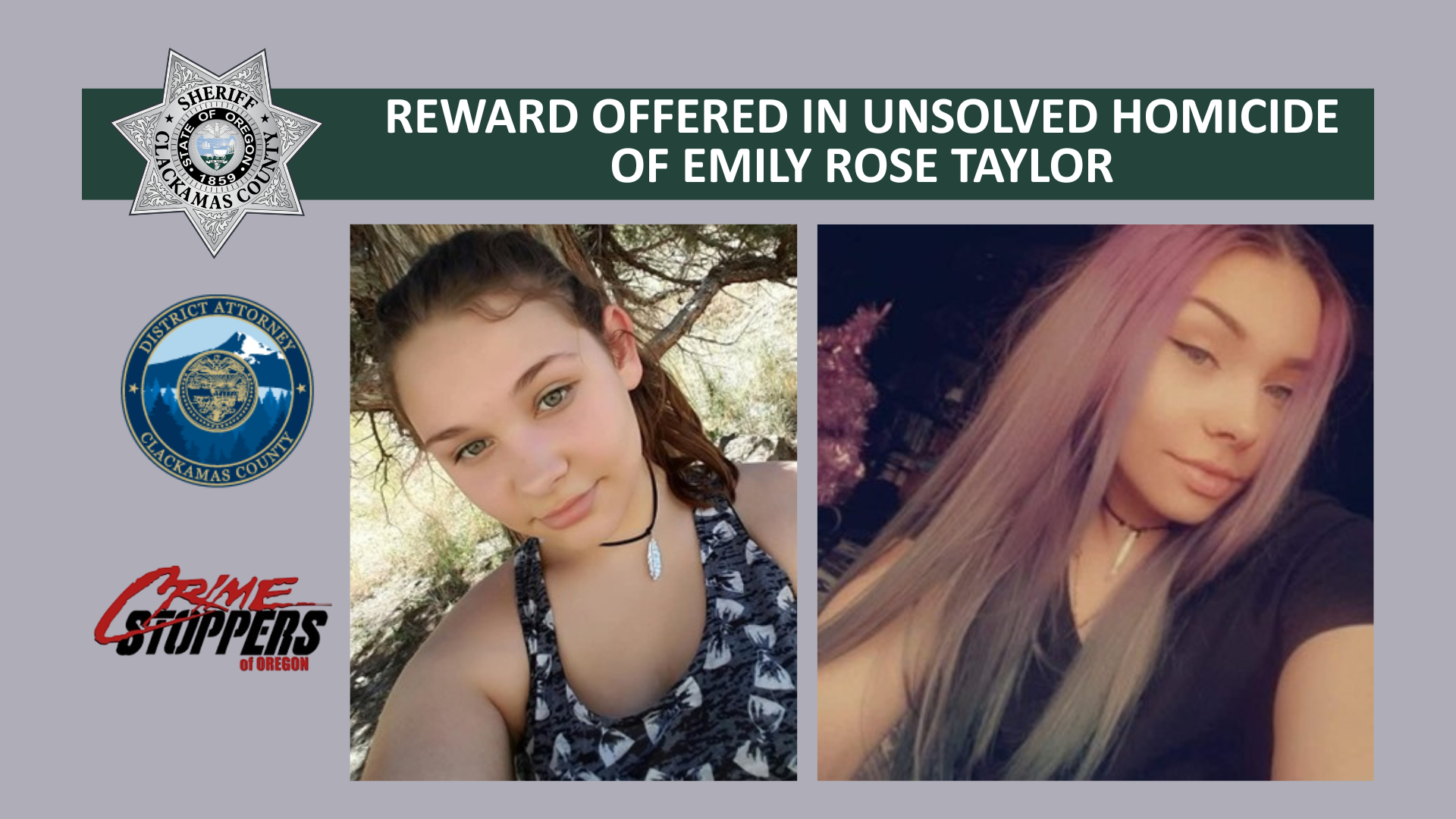 Click to Enlarge Site Image