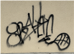 Site Image