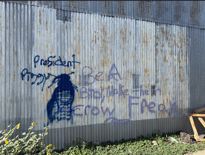 Site Image