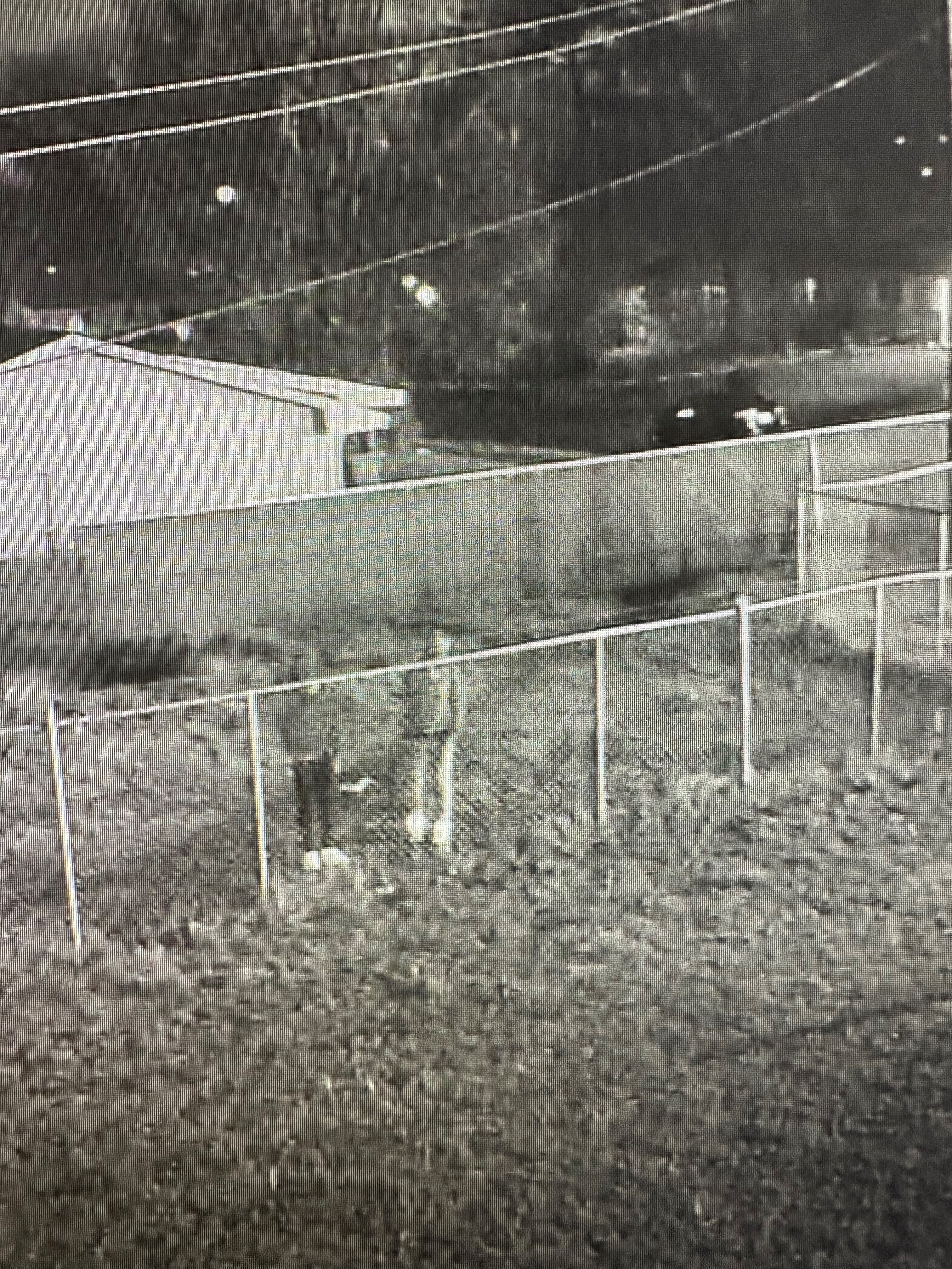 Site Image